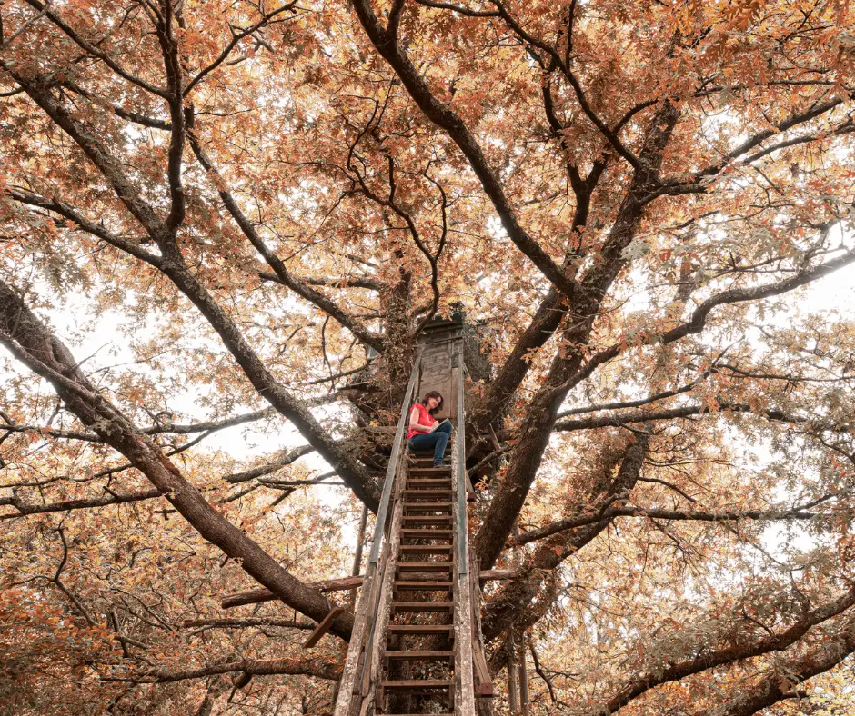 prendre du recul sur le marketing